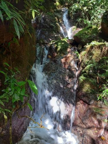 a waterfall in the middle of a forest at ECO HOTEL RIO DE ORO in San Rafael