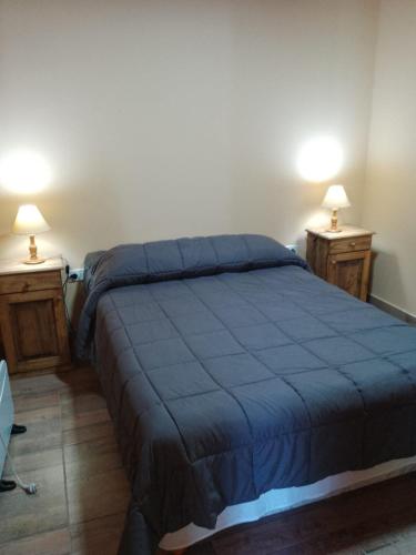 Cabaña potrerillos La Tabaida في بوتريريلوس: غرفة نوم بسرير ازرق مع مواقف ليلتين