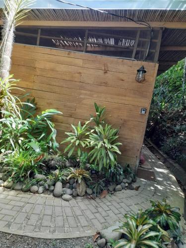 Un jardín fuera de Casa la Colmena