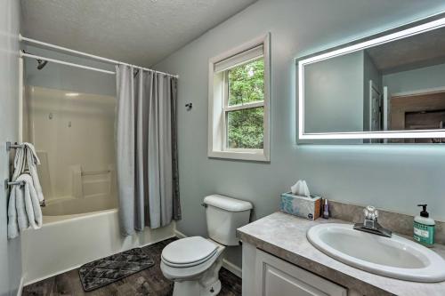 a bathroom with a toilet and a sink and a mirror at Charming Pentwater Home with Fire Pit and Yard! in Pentwater