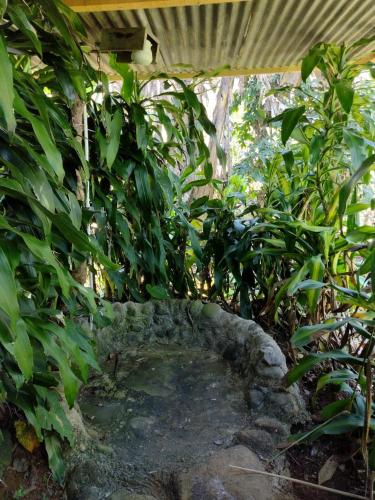 Cabañas La Finca – Photos 4