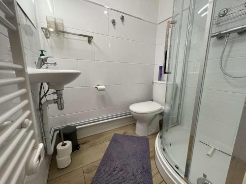 une salle de bain avec un lavabo, des toilettes et une douche dans l'établissement Appartement cosy à Serre-Chevalier, proche pistes, terrasse, parking, 2 étoiles, 2 pers. - FR-1-330E-127, à Saint-Chaffrey