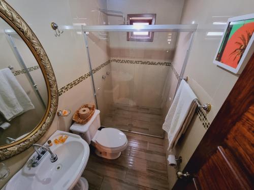 bagno con lavandino, servizi igienici e specchio di Villas de los Pinos 3 a Mazamitla