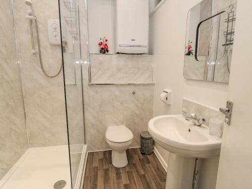 W łazience znajduje się prysznic, toaleta i umywalka. w obiekcie Grand Sea View w mieście North Shields