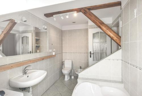 W łazience znajduje się toaleta z umywalką i lustro. w obiekcie Duży Apartament Duszniki-Zdrój w mieście Duszniki Zdrój