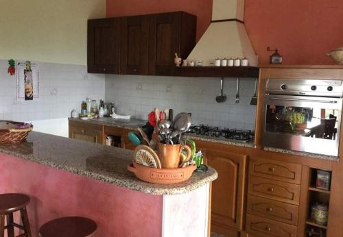 Кухня или мини-кухня в Appartamento Serenella

