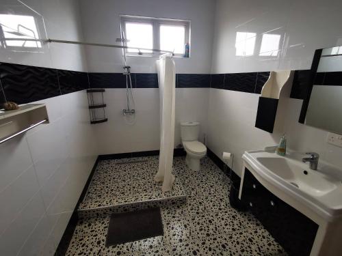 a bathroom with a shower and a toilet and a sink at Résidence Oak in Petite Rivière