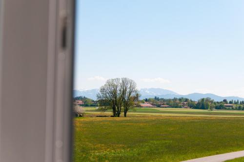 a window view of a field with a tree at Landhotel & Gasthof Baiernrain in Baiernrain