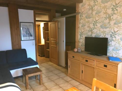 a living room with a television on a wooden cabinet at Ferienanlage Achtern Diek in Thalingburen