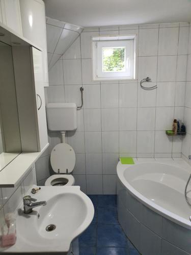 a bathroom with a toilet and a sink and a tub at Apartman Runolist in Delnice