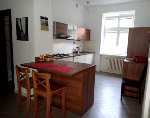 Kuchyňa alebo kuchynka v ubytovaní Big apartment in Bratislava