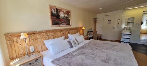 Kuchyň nebo kuchyňský kout v ubytování Hotel Domizil