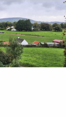 two pictures of a field of green grass with houses at Toddys Cottage & Stables in Cavan