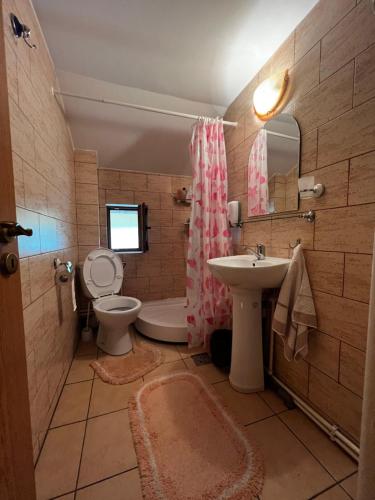 ein Badezimmer mit einem Waschbecken, einem WC und einem Spiegel in der Unterkunft Vila Ioana in Râu de Mori