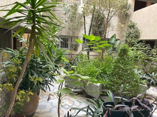 einen Garten voller Pflanzen und ein Gebäude in der Unterkunft Appartement au hyper centre Cosy et typique in Agadir