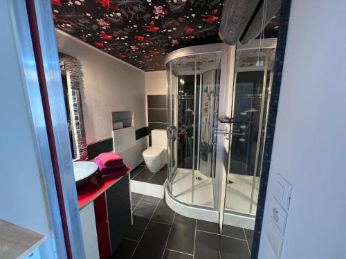 a bathroom with a shower and a toilet at NIMES Superbe appartement duplex climatisée in Nîmes