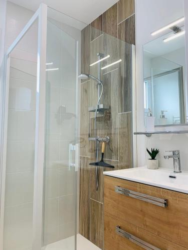 une salle de bain avec une douche avec un lavabo et un miroir dans l'établissement LE MOUSSE Maison avec piscine/parking/wifi/plages 5kms, aux Mathes