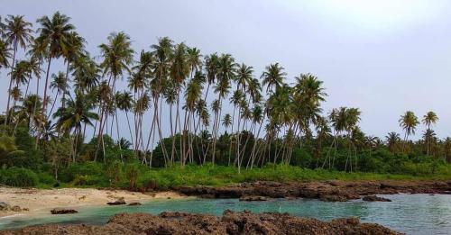 Gallery image of Coconut Island Surf Stay Simeulue in Sinabang