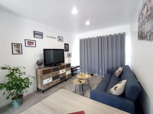 een woonkamer met een blauwe bank en een tv bij Charmant gîte indépendant au calme tout confort in Barbaste