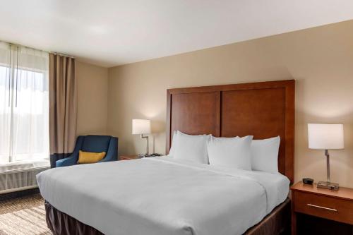 a hotel room with a large bed and a chair at Comfort Inn & Suites Charlottesville Hollymead Town Center in Charlottesville