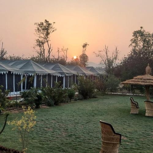 a yard with a group of tents and chairs at Ranthambore Nature Camp Resort in Sawāi Mādhopur