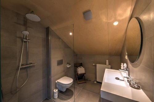 ein Bad mit einem Waschbecken, einer Dusche und einem WC in der Unterkunft Bed & Breakfast de Wandhorst in Gaanderen
