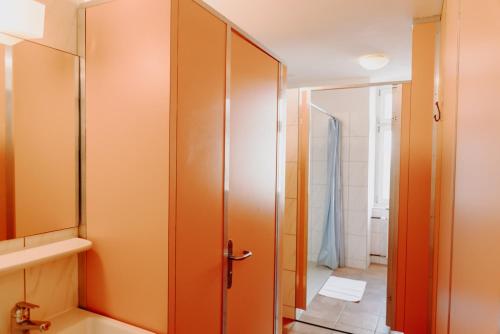 a bathroom with a shower and a toilet and a cabinet at Selda's in Schaffhausen