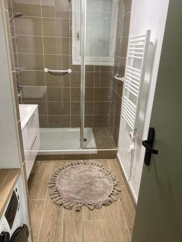 ein Badezimmer mit einer Dusche und einem Teppich auf dem Boden in der Unterkunft Petit cocon à Sanary-sur-Mer in Sanary-sur-Mer