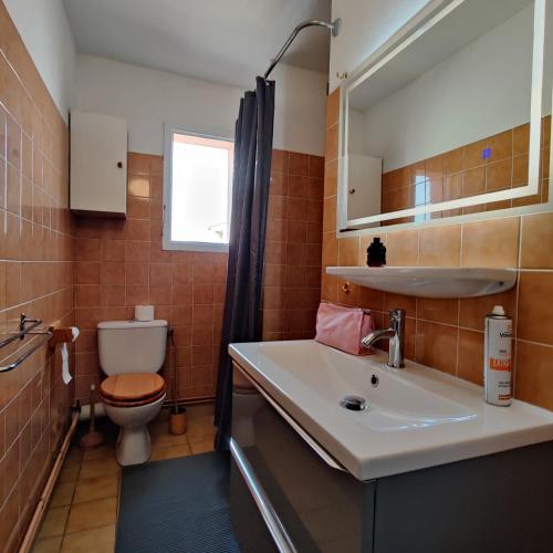 une salle de bain avec un lavabo et des toilettes dans l'établissement Appartement cosy proche port, plages et montagnes., à Saint-Cyprien