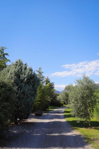 a gravel road with trees on both sides at Lavender farm house in Nafpaktos