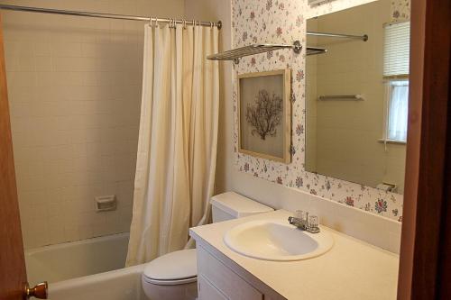 bagno con lavandino, servizi igienici e specchio di Alton Bay Beach House a Alton Bay