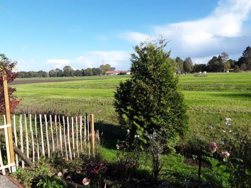 a field with a tree and a fence at Ferienwohnung Medemgarten in Neuenkirchen