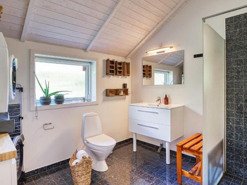 Holiday home Frederiksværk XXIV في Frederiksværk: حمام مع مرحاض ومغسلة