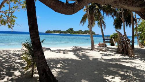 a beach with a group of palm trees and the ocean at Beach Cottage in Rasdu