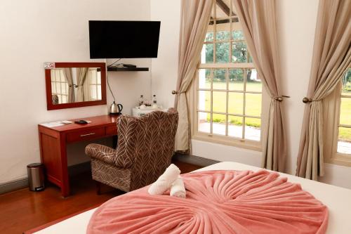 The Sunbird Guesthouse في Gingindlovu: غرفة نوم بسرير مع مكتب وكرسي