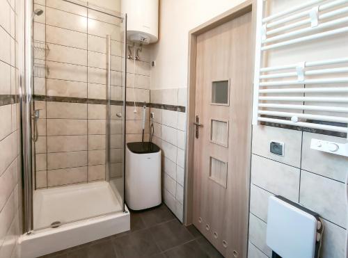 ein Bad mit einer Dusche und einer Glastür in der Unterkunft Apartament Alpejski Duży in Lądek-Zdrój