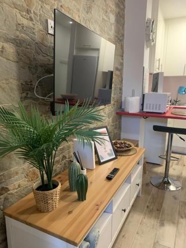 Kuchyň nebo kuchyňský kout v ubytování Palm apartment