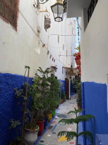 eine Gasse mit Topfpflanzen und einer blauen Wand in der Unterkunft Dar Bennis médina in Rabat