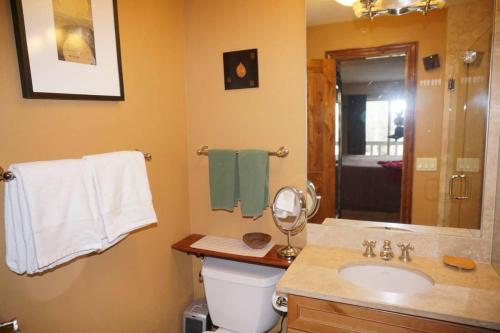 a bathroom with a toilet and a sink and a mirror at Dean St Condos in Aspen