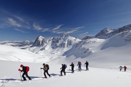 a group of people skiing on a snow covered mountain at Hotel Pichlmayrgut in Schladming