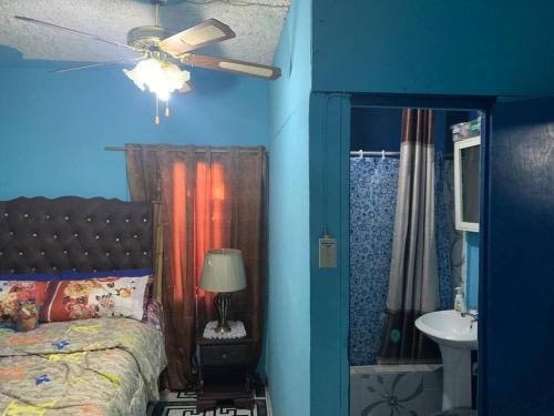 1 dormitorio con 1 cama, lavamanos y ventilador de techo en Forrest Family Property, en Kingston