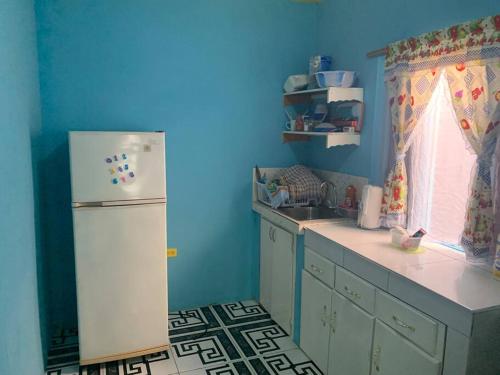 a kitchen with a white refrigerator and blue walls at Forrest Family Property in Kingston