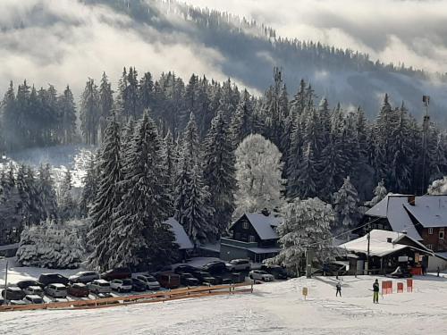 a group of cars parked in front of a snow covered forest at Haus Völlegg in Völlegg