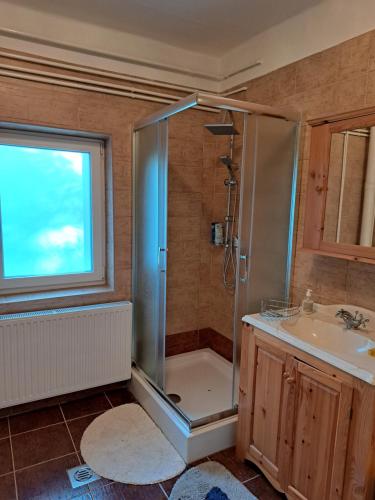 uma casa de banho com um chuveiro e um lavatório. em Molnárkalács vendégház em Mátraszentimre