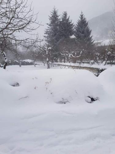 a snow covered field with trees in the background at Casa vacanze Daniela in Villetta Barrea