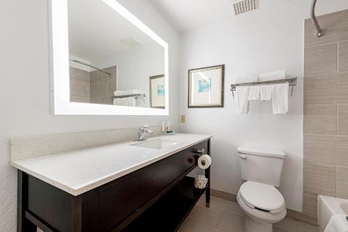 a bathroom with a sink and a toilet and a mirror at Country Inn & Suites by Radisson, Lewisville, TX in Lewisville