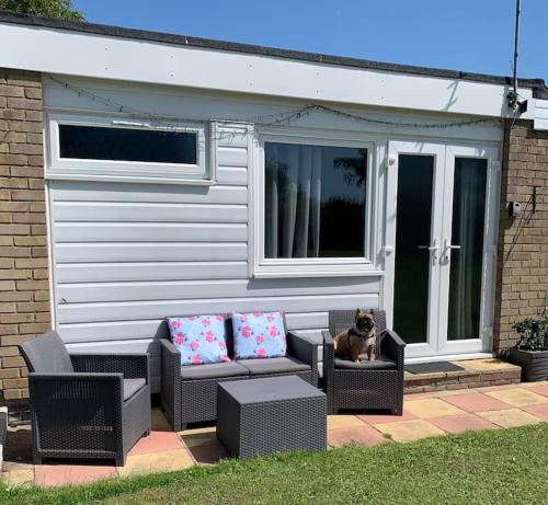 a dog sitting on a couch in front of a house at Hugo's hideaway, Belle Aire Free WIFI in Hemsby