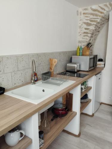 un comptoir de cuisine avec un évier et un micro-ondes dans l'établissement Le nid des filles, à Dions