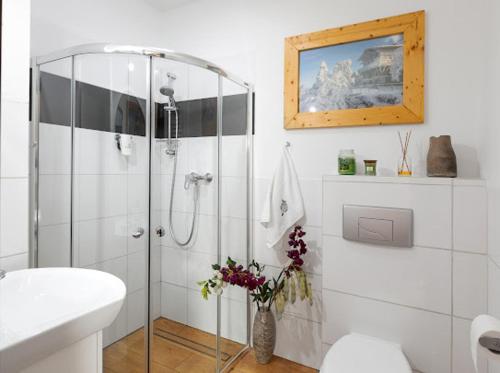 a bathroom with a shower and a toilet and a sink at Apartamenty U Harrego I Przy Stawie Spa in Kudowa-Zdrój