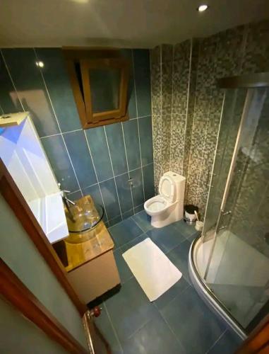 a bathroom with a toilet and a glass shower at HemDemKonakdenemekapalı in Konak